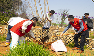 電(diàn)商風(fēng)采